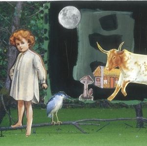 First Posh Live Sale - for Trish